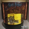 Harry Potter Hogwarts Battle rangements 3D