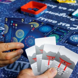 Hanabi jeu de société exemple cartes tenues à l'envers et autre joueur